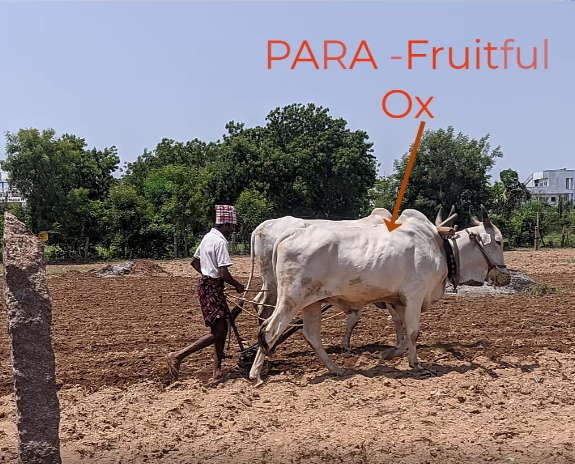 PARA and Cultivator with Farmer Image