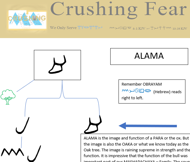 ALAMA Unfolding Sneak Peak